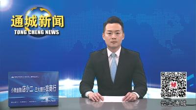 视频-民房内暗藏赌博窝点 被通城公安“一锅端” 