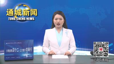 视频-通城县举行2024 年“隽才归巢”学子家乡企业行暨人才交流座谈会 