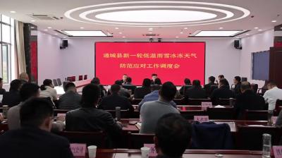 视频-闻雪而动 通城全力以赴保畅通护民生