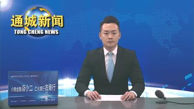 视频-【森林防火 警钟长鸣】春节期间通城已有12人因引发山火被拘留