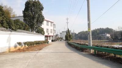视频-【新春走基层】通城县大坪乡：凝聚合力 共同缔造美好人居环境