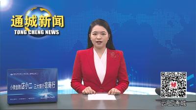 视频-通城县领导开展春节走访慰问活动 