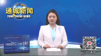 视频-通城县人社局：春风送岗促就业 精准服务助发展 