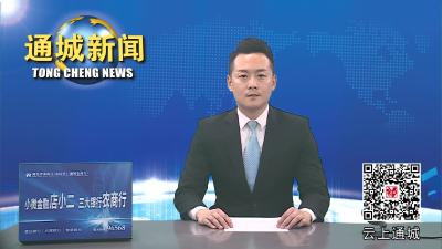 视频-春风送岗促就业！通城这场招聘会持续到3月30日 