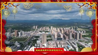 通城县招商和投资促进中心向大家拜年啦！