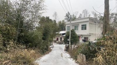 通城县隽水镇利和村：冻雨极端天气 助力度灾暖民心