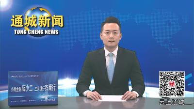 视频-【新春走基层】麦市镇:千方百计谋产业发展 共同缔造就幸福镇域
