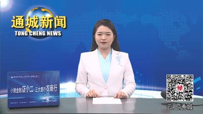 视频-通城县举办乡村振兴与产业发展专题讲座 
