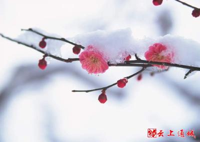 今日立春