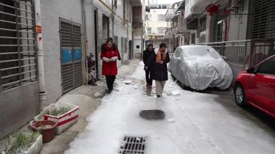 视频-通城县民政局向城区困难群众发放500份“爱心蔬菜包”