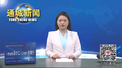 视频-通城县召开低温雨雪冰冻天气防范暨坚决遏制重特大事故专项行动工作调度会 