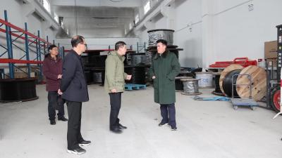 视频-杨修伟督查低温雨雪冰冻天气防范应对工作
