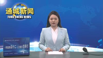 视频-【2024年，我们这么干③】通城县沙堆镇：以“三个工作法”为抓手 全力推进“茶香古镇、田园沙堆”建设 