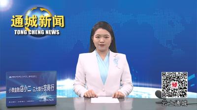 视频-中共通城县纪委十五届四次全体会议举行：坚决打赢反腐败斗争攻坚战持久战 奋力开创通城全面从严治党新局面 