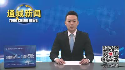视频-通城县人武部党委二届四次全体（扩大）会议暨党管武装工作述职会议召开 
