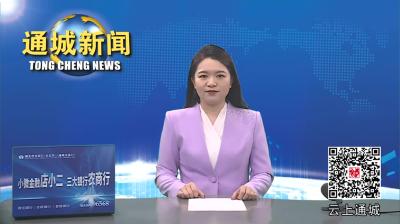 视频-通城县召开一季度全县经济形势分析暨投资和项目建设工作推进会 