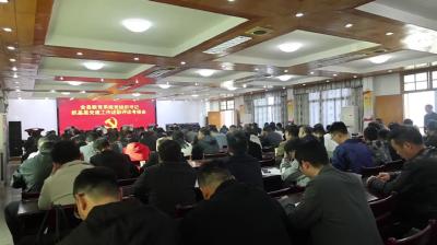 视频-通城县教育局：抓好基层党建工作 筑牢通城教育根基 