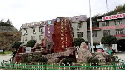 视频-通城县开展春季护渔执法专项行动