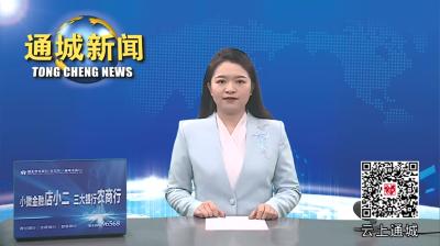 视频-2024年第3次通城县政府常务会议召开 