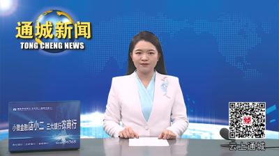 视频-通城县委常委会2024年第4次会议召开 