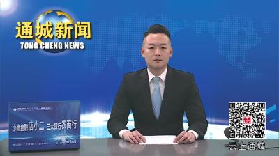 视频-刘中英督办推进北港镇小流域综合治理工作