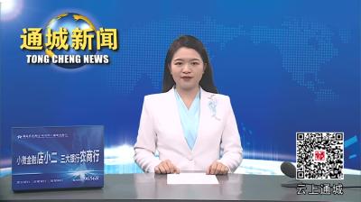 视频-通城县2024年食药安委会第一次全会暨配合咸宁市创建国家食品安全示范城市工作推进会召开 