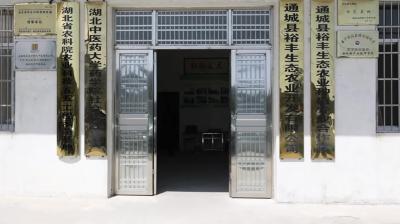 视频-省工商联来通城县金山村调研乡村振兴工作