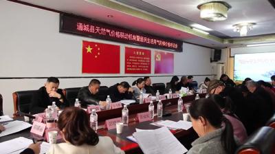 视频-通城县召开居民天然气阶梯价格听证会