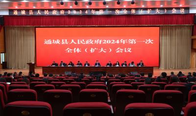 通城县人民政府2024年第一次全体（扩大）会议召开