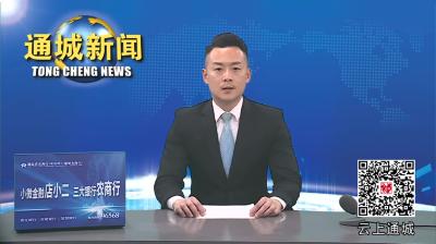视频-省高级人民法院党组书记、院长游劝荣来通城调研 