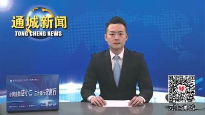 视频-刘中英到县信访接待中心接访 