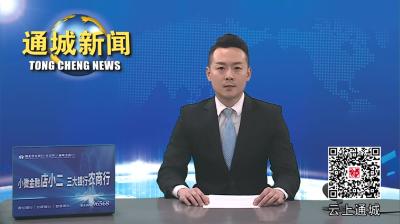 视频-通城县召开2024年水利项目推进情况汇报会 