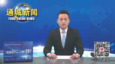 视频-通城县委全面深化改革委员会第八次会议、县委财经委员会第六次会议召开 