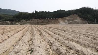 视频-省医疗保障局到马港镇界上村开展义务植树活动