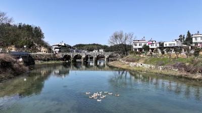 【伐桂书院】美丽乡村留史迹，丹青水墨画中巡。
