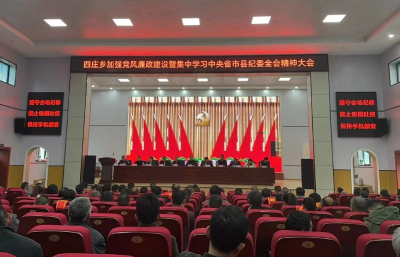 通城县四庄乡召开2024年党风廉政建设工作会议