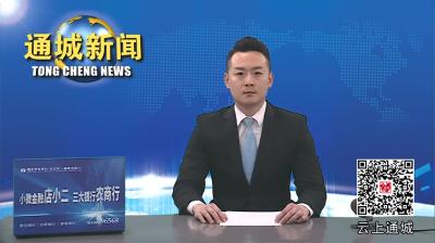 视频-咸宁高新区通城园区火炬统计年报专场培训会召开 