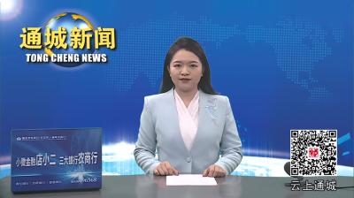 视频-省司法厅到通城开展社区矫正维稳安保和执法检查工作 