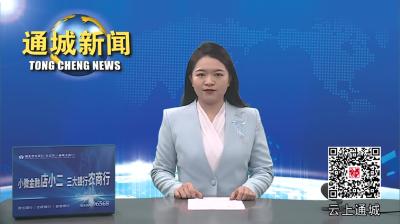 视频-通城县领导督办指导小流域综合治理工作 