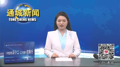 视频-通城县安排部署2024年清明节期间森林防灭火工作 