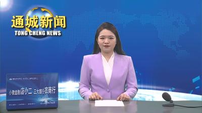 视频-【2024年 我们这么干】通城县隽水镇：真抓实干展宏图 开拓进取启新程 