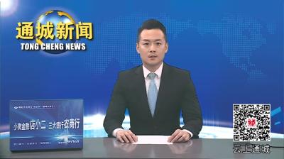 视频-通城县召开综治中心工作会议