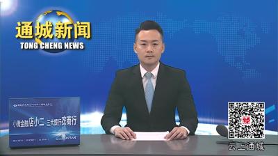 视频-咸宁市2024年企事业单位“引才专列”通城专场活动在中南财经政法大学举行 