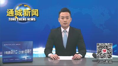 视频-通城县召开2024年防汛抗旱暨河湖长制工作联席会议 