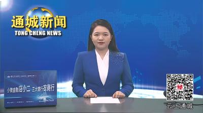 视频-市政协副主席王芳来通城县开展课题调研 