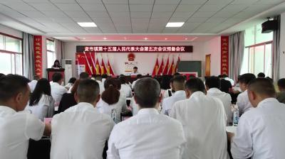 视频-麦市镇第十五届人民代表大会第五次会议召开 