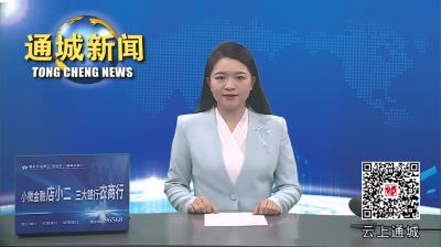 视频-平江县政协来通城县考察学习文旅融合发展情况 
