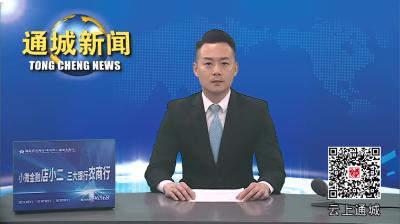 视频-通城：春茶吐新绿 茶农采摘忙 