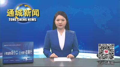 视频-湖北青创园（光谷）示范园董事长徐杰率队来通城考察投资合作事宜 