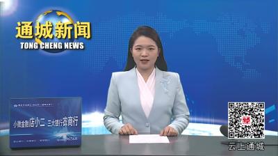 视频-通城县召开经济工作分析会
